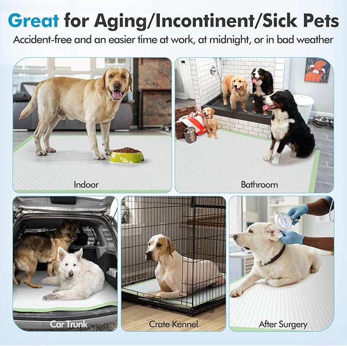 Gimars Upgrade XXXXL 36x36 Dog Pee Pads Extra Large Thicken 6 Layers Extra Absorbent Pee Pads for Dogs, Leakproof Dog Training Wee Wee Pads Quick Dry - 150 Counts