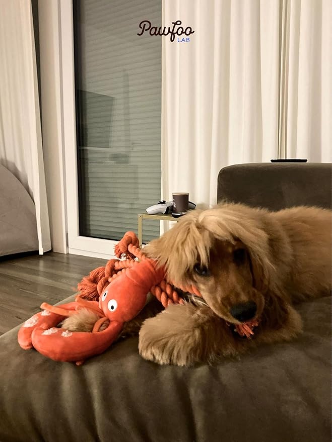 Large Squeaky Dog Toys, Tough Plush Lobster with Rope Tug of War for Puppy, Small, Medium, Large Dogs, Interactive Stuffed Chew Toy to Keep Them Busy