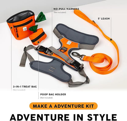 Embark Adventure Dog Leashes - Colorful, Strong, and Sturdy Dog Leash for Small, Medium, and Large Breed Dogs (Orange, 5 Ft)