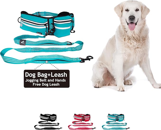 Kruz Hands Free Dog Leash (Waist 26”- 48”, Leash- 1”x 5ft) Premium Waist Belt for Walking, Running & Hike Bungee with Dual Handles, Adjustable Fit, Reflective Safety Design for Large Dogs (Turquoise)