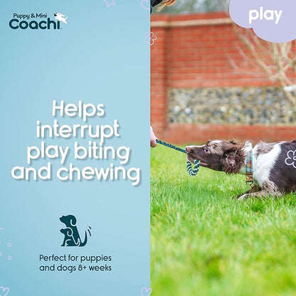Coachi Puppy & Mini Tuggi Helix - Lightweight, Tough Dog Toy, Safe & Fun, Stretchy Bungee Handle, Reward Training, Recall, Agility, Interrupt Biting & Chewing. Suitable for Small Dogs & Puppies