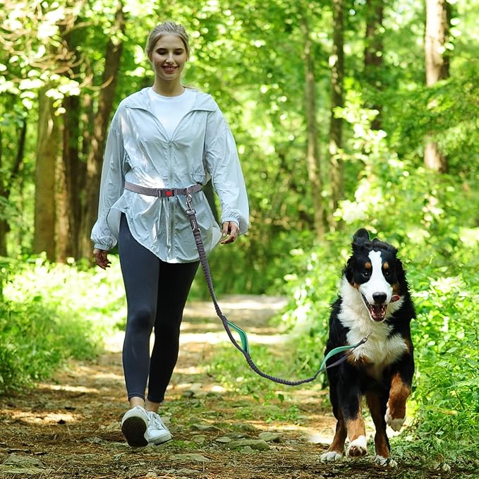 VIVAGLORY Hands Free Dog Leash Bungeetwin Running Dog Leash with Waist Belt for Running Walking & Jogging, Bungee & Around Waist for Pet, S, Grey/Turquoise
