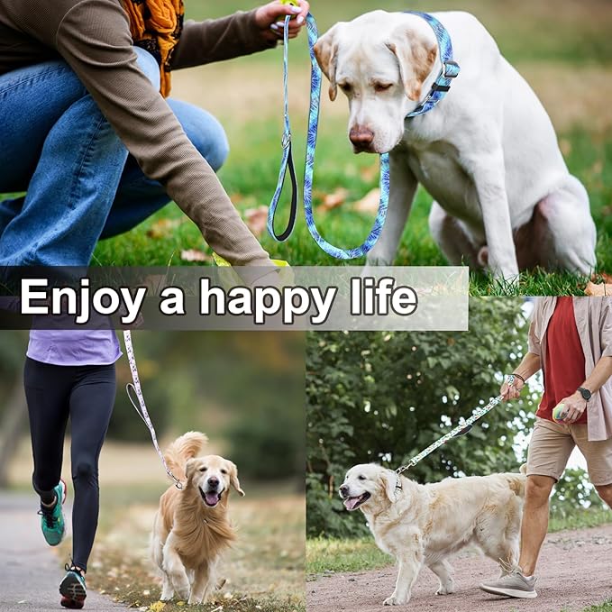 Double Handle Dog Leash 6ft with 2 Padded Handles, Cute Purple Dog Leash with Soft Dual Handle, Walking Training Lead for Medium and Large Dogs, Lavender Lily
