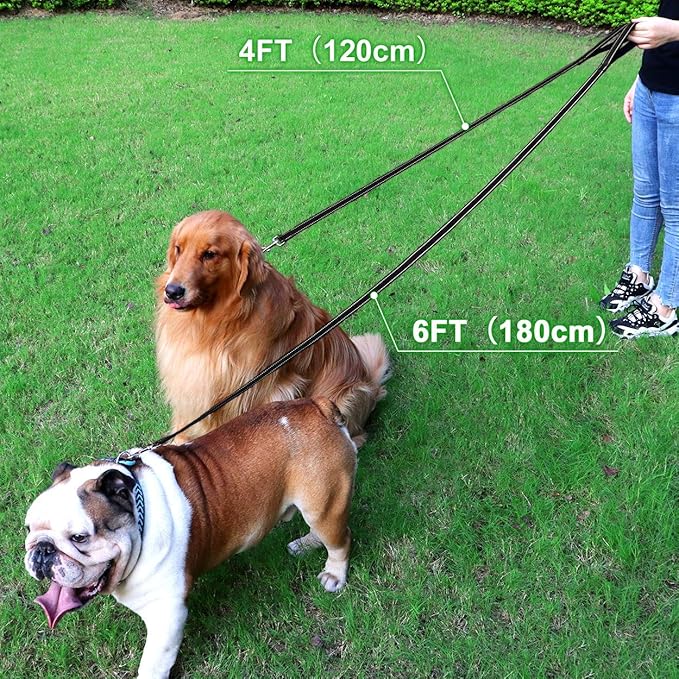 FunTags 4FT Reflective Dog Leash with Soft Padded Handle for Training,Walking Lead for Medium & Small Dogs,3/4 Inch Wide,Black