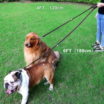 FunTags 4FT Reflective Dog Leash with Soft Padded Handle for Training,Walking Lead for Medium & Small Dogs,3/4 Inch Wide,Black