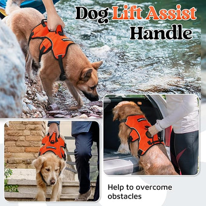 rabbitgoo Escape Proof Dog Harness, Soft Padded Full Body Pet Harness, Reflective Adjustable No Pull Vest with Lift Handle and Leash Clip for Large Dogs Walking Hiking Training, XL, Orange