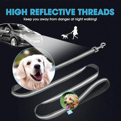 BAAPET 5 Feet Nylon Dog Leash with Triple Reflective Threads and Comfortable Padded Handle for Walking, Training Lead Small Puppy, Medium and Large Dogs (1.0'' x 5 FT, Black)