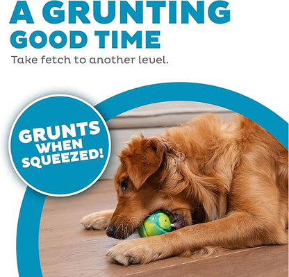Outward Hound Grunt N' Punt Tennis Ball - Fetch Ball Dog Toy, Multi