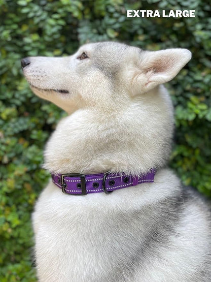 Heavy Duty Dog Collar with Handle | Ballistic Nylon Heavy Duty Collar | Padded Reflective Dog Collar with Adjustable Stainless Steel Hardware | Convenient Sizing for All Breeds X-Large (19-23" Neck)