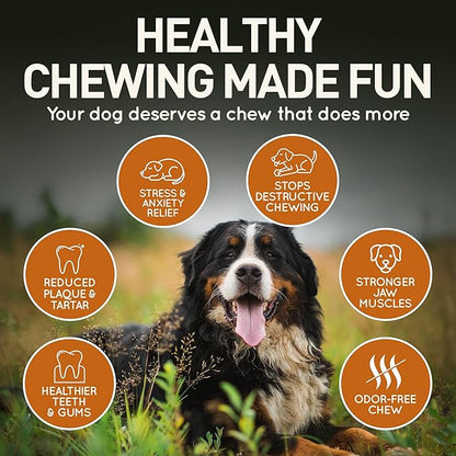 Wildfang® Briar Wood Chewing Root, XXL - Splinter Free Wood Dog Chew Toys for Aggressive Chewer, Odorless Natural Teething Toys Dogs Dental Health, Healthy Gums (for Dogs Over 132 lbs), Pack of 1