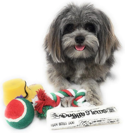 Christmas Dog Stocking Toys. Pack Assorted with Squeaker Inside of Newspaper Toy, Squeaky Boot, a red, Green & White Tennis Ball & red White & Green Knotted Rope Xmas Toy. Small Medium Large Breeds