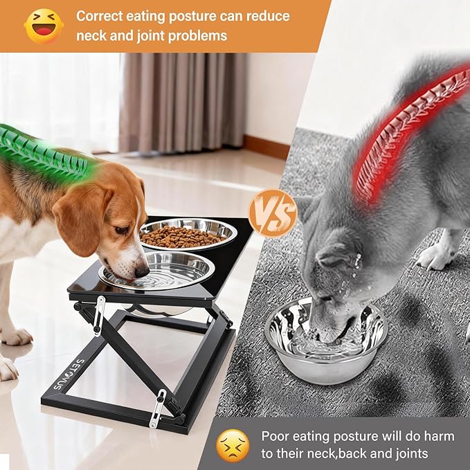 Elevated Dog Bowls for Large Medium Dogs, 3 Heights Adjustable Raised Dog Bowl Stand with 2 Stainless Steel Food Bowls 20°Tilted Elevated Easy to Clean Water Bowl (Black, Large)