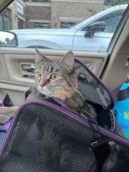 petisfam Soft Pet Carrier for Large and Medium Cats, 2 Kitties, Small Dogs. Easy to Get Cat in, Great for Cats that Don't Like Carriers (Black)