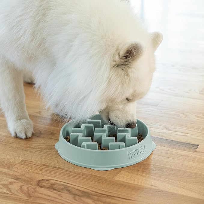 Outward Hound Fun Feeder Slo Bowl – Large 4‑Cup Capacity, Slow Feeding, Medium to Large Dogs, Non‑Slip, Sage, Notch Pattern