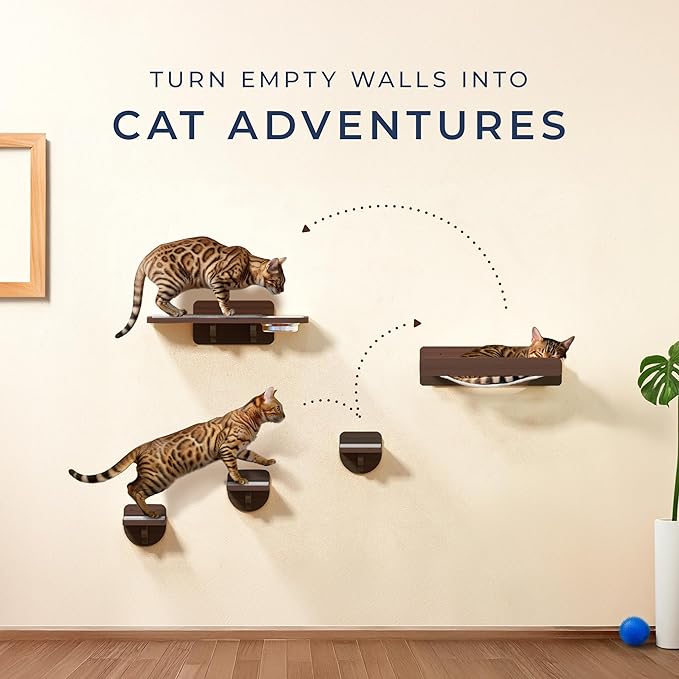 Space-Saving Cat Wall Shelves – Interactive Cat Wall Climber with Hammock & Dog Proof Feeding Station for Small & Medium Indoor Breeds – Solid Walnut Wood with Beige Carpet