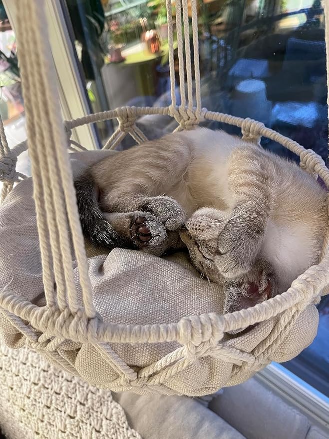 Macrame Cat Hammock Bed,Handwoven Hanging Boho Cat Bed with Hanging Kit for Indoor Outdoor Home Decor Ceiling Catio Swing for Playing Sleeping Climbing and Lounging(15.74x15.74x47.24IN)(L)