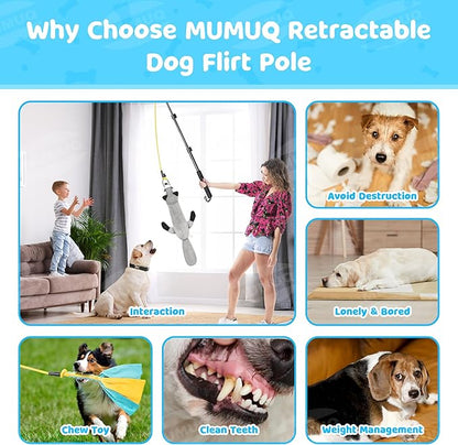 Dog Flirt Pole, Retractable Teasing Stick with Lure, Interactive Dog Toy for Outdoor Training Play Exercise, 40 Inch Flirt Stick for Small Medium Large Dogs