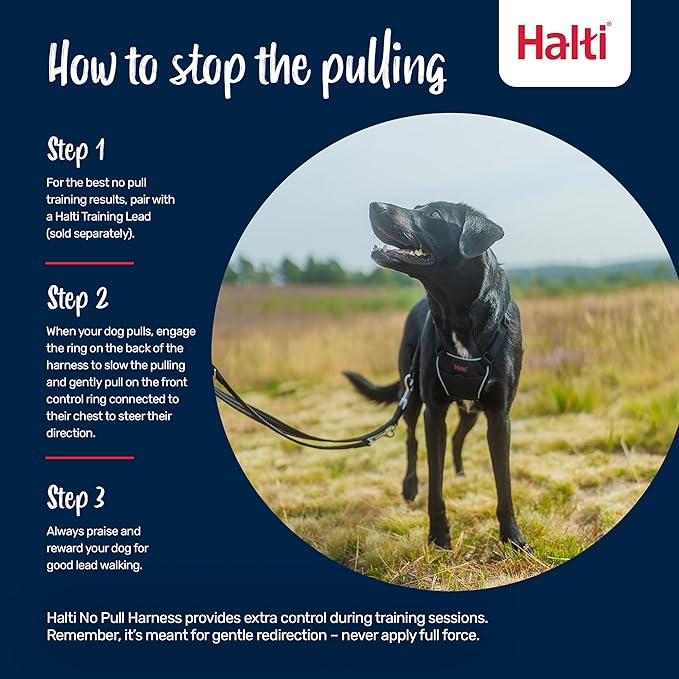 Halti No Pull Harness - Stop Your Dog Pulling on the Leash. Adjustable, Lightweight and Easy to Use. Reflective Dog Training Harness for Medium Dogs (Size M, Black)