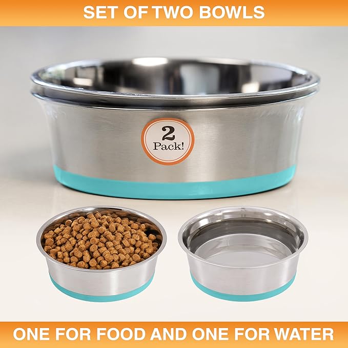 Neater Pet Brands Stainless Steel Dog Bowls with Non-Slip Rubber Bottom – 3 Cup (24 oz), Teal - Set of 2 Heavy Duty Metal Dog Bowls, Dishwasher Safe, Food or Water Bowl, Ideal for Small to Medium Dogs