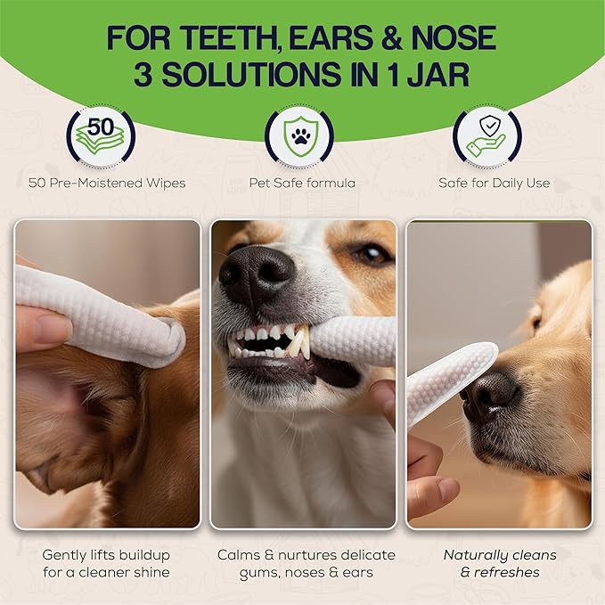3-in-1 Dog Dental Wipes – Finger Wipes for Teeth, Ears & Snout Infused with Coconut Oil | Promotes Fresh Breath, Tartar Control & Daily Hygiene | Gentle Grooming Wipes for All Dogs – 50 Count