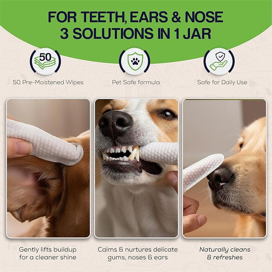 3-in-1 Dog Dental Wipes – Finger Wipes for Teeth, Ears & Snout Infused with Coconut Oil | Promotes Fresh Breath, Tartar Control & Daily Hygiene | Gentle Grooming Wipes for All Dogs – 50 Count