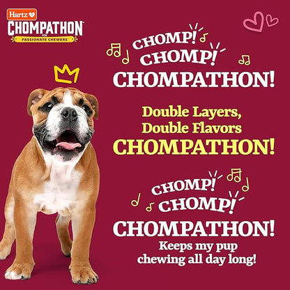 Hartz Chompathon Rock 'N Rib Bone Dog Chew Toy for Aggressive Chewers, Double Layered Flavored with Chicken & Beef