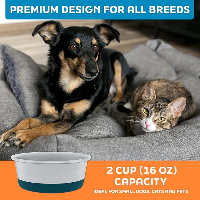 Master Pet Supply Stainless Steel Dog Bowls Set of 2 with Extra Thick Silicone Base - 2 Cup (16 oz) Emerald Sea, Non-Slip, Dishwasher Safe Metal Bowls, Pet Dog Food Bowl for Dogs, Cats, Anti Rust