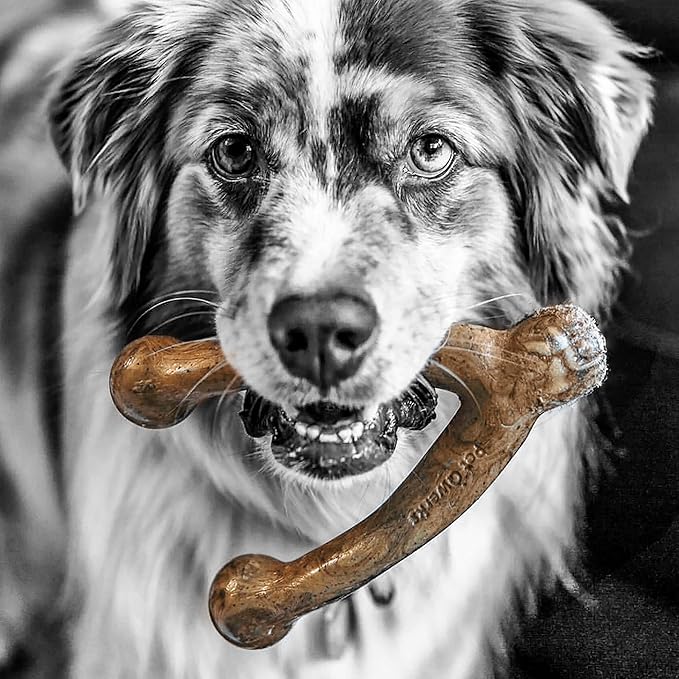 Pet Qwerks Wishbone BarkBone - Nylon Chew Toy for Aggressive Chewers - Bacon Flavor - 8.25"