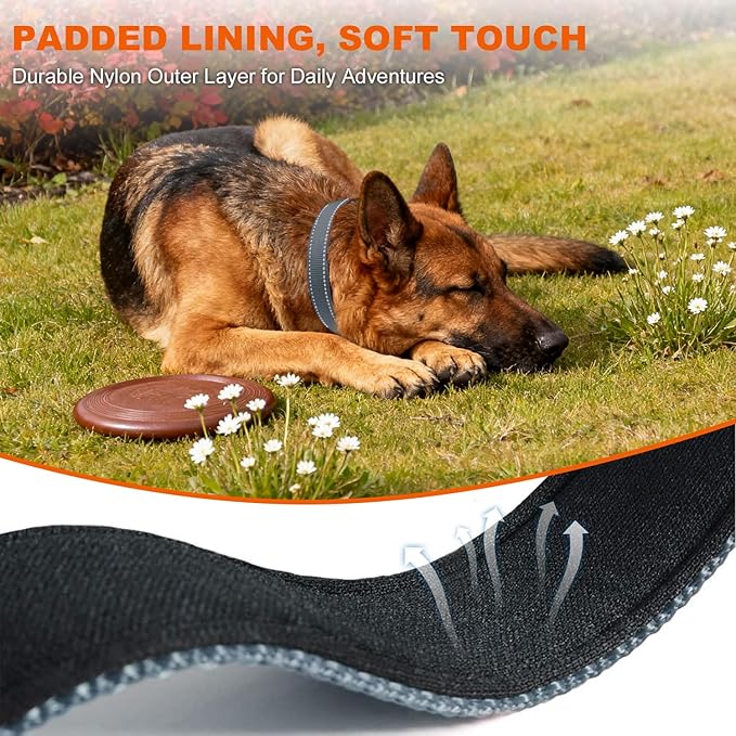 Taglory Reflective Dog Collar with Safety Locking Buckle, Soft Neoprene Padded Dog Collar for Large Dogs, Metal D-Ring, Adjustable Nylon Neck Strap for Daily Walking, Training & Running, Grey, L
