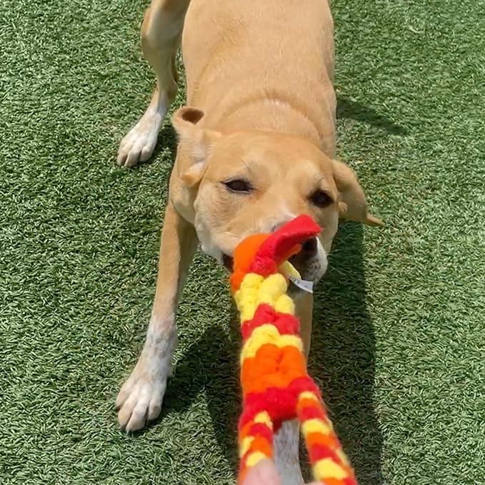 Chelsy's Toys Interactive Tug Toy for Dogs and Puppies, Mental Stimulation Toy, Slow-Play, Brain Exercise for Puppies & Seniors, Freeze forTeething Relief, Blue, Orange, Purple (Orange)