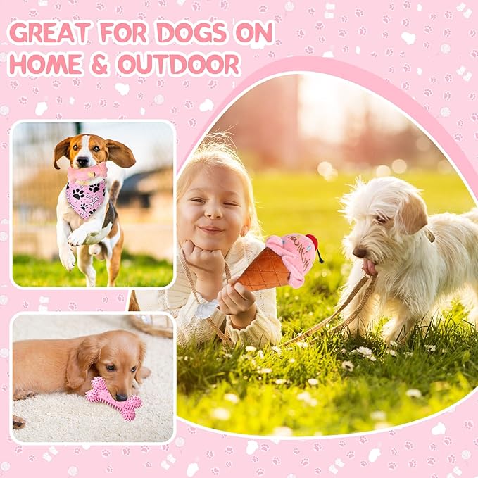 14 Pack Puppy Teething Toys, Chew Toys for Small Dogs Puppy Toys Pink Dog Stuff with Soft Rubber Balls and Colorful Ropes for Small Breed Interactive Accessories(Pink)