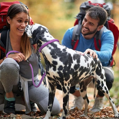 Fida Durable Slip Lead Dog Leash, 6 FT x 3/8" Heavy Duty Comfortable Strong Rope Slip Lead for Small Dogs and Puppies, No Pull Pet Training Leash with Highly Reflective(3/8", Purple)