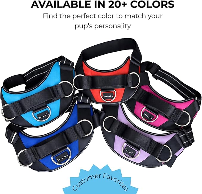 ShawnCo Essential Dog Harness, No-Pull Pet Vest with 3 Leash Clips, No Choke, Reflective, Adjustable and Padded, for Easy Walking and Training for Small, Medium and Large Dogs (Orchid, L)