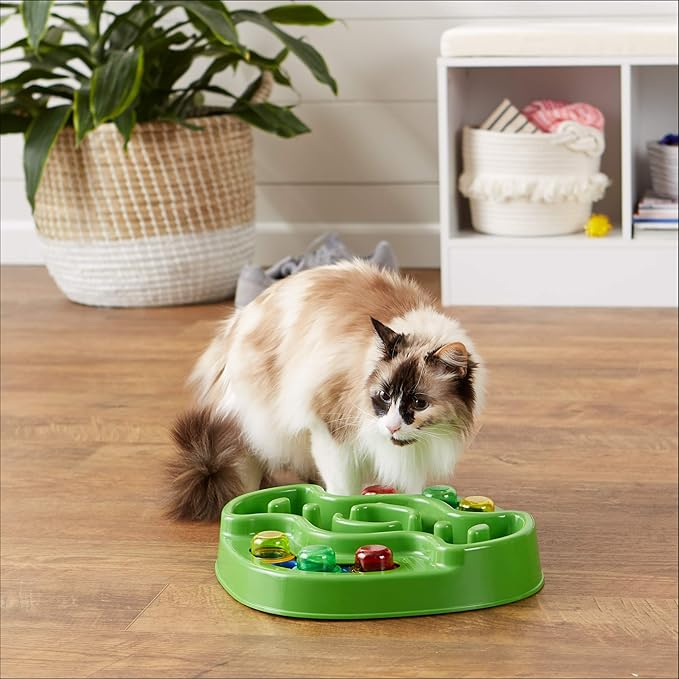 Amazon Basics Pet Activity Center and Feeder, Green