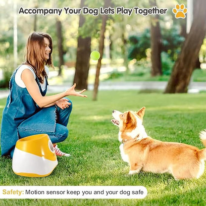 Interactive Outdoor Pet Tennis Dog Ball Throwing Machine - Automatic Dog Ball Launcher