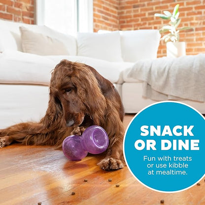Outward Hound Double Snoop Interactive Treat Dispensing Dog Toy, Puzzle Ball Slow Feeder for Medium to Large Dogs, Mint-Scented for Mental Stimulation & Boredom Relief, 6in x 4in