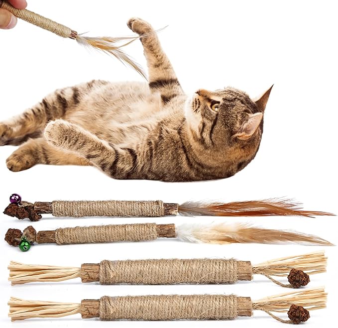 4pcs Kitten Chew Toys Teething, 2 Types Catnip Chew Toys for Cats Natural Silvervine Blend Sticks for Dental Care Treat with Raffia Feather Cat Teeth Cleaning Toy Indoor