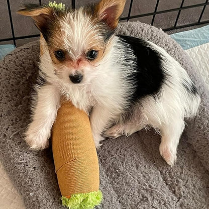 My Name is B, Cute Stuffed Parody Blunt Dog Toy, Funny Squeaky Weed Toy, Cool Plush Novelty 420 Gift for Pets & Their Owners, Sized for Puppies & Small, Medium & Large Breeds, For Fetch & a Photo Prop