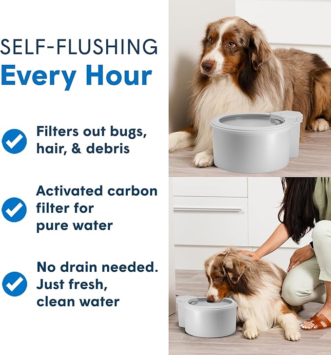 Always Full® 9” Dog Water Bowl with Wall Unit, Self Refilling Clean Filtered Water System, App Enabled Smart Hydration Tracking, Automatic Water Bowl for Dogs and Cats