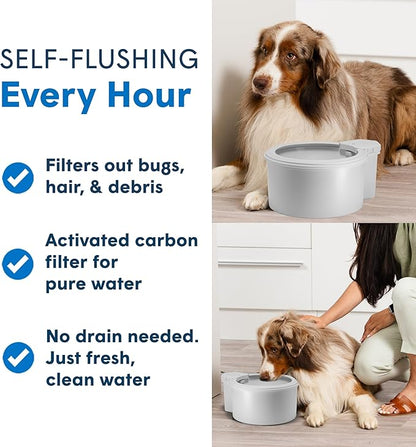Always Full® 9” Dog Water Bowl with Wall Unit, Self Refilling Clean Filtered Water System, App Enabled Smart Hydration Tracking, Automatic Water Bowl for Dogs and Cats