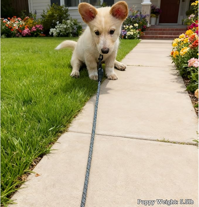 WYuZe 5ft Puppy Leash for Small Dogs, 1/4" Thin Rope Dog Leash with Easy to Use Hook, Strong Lightweight Pet Lead for Chihuahua/Yorkie/Toy Breed, 10 Colors, Black Gray