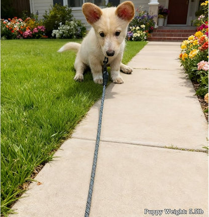 WYuZe 5ft Puppy Leash for Small Dogs, 1/4" Thin Rope Dog Leash with Easy to Use Hook, Strong Lightweight Pet Lead for Chihuahua/Yorkie/Toy Breed, 10 Colors, Black Gray