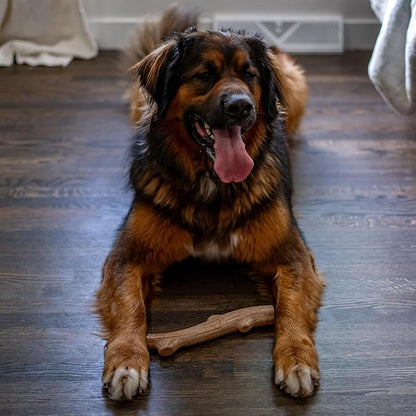 Outward Hound by Petstages Super Dogwood Durable Dog Chew Toy, Large - Long Lasting Chew Stick Made with Real Wood - USA Made, L