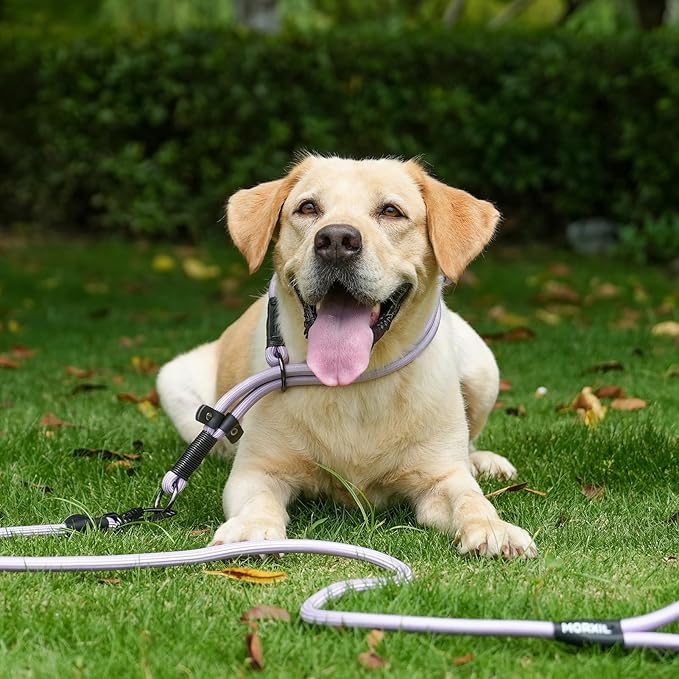 Rope Dog Leash, 6 Foot Heavy Duty Dog Leash with Aviation Aluminum Auto Locking Carabiner, Strong Nylon Pet Lead for Small, Medium, Large Dogs (Yellow, 6FT)