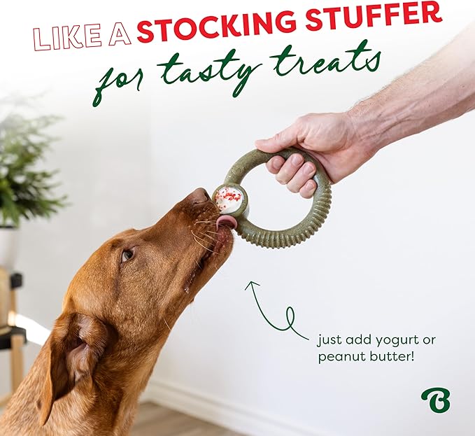 Benebone Peppermint Ring – Limited Edition Holiday Flavor, Durable Chew Toy for Aggressive Chewers, Made in USA, Medium