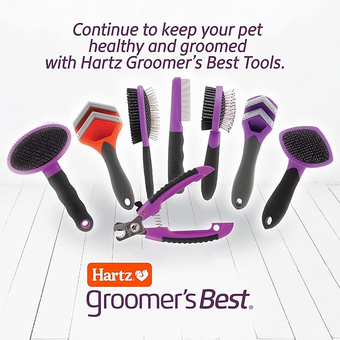 Hartz Groomer's Best Small Slicker Brush for Cats and Small Dogs, Black/Violet, 1 Count (Pack of 2)