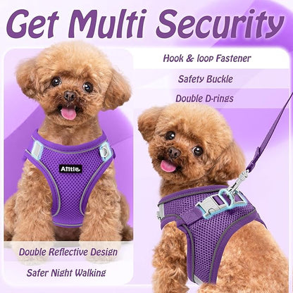 AIITLE Step in Dog Harness and Leash Set - No Pull Escape Proof Vest Harnesses with Soft Mesh and Reflective Bands, Adjustable Pet Outdoor Harnesses for Small and Medium Dogs Pure Purple M