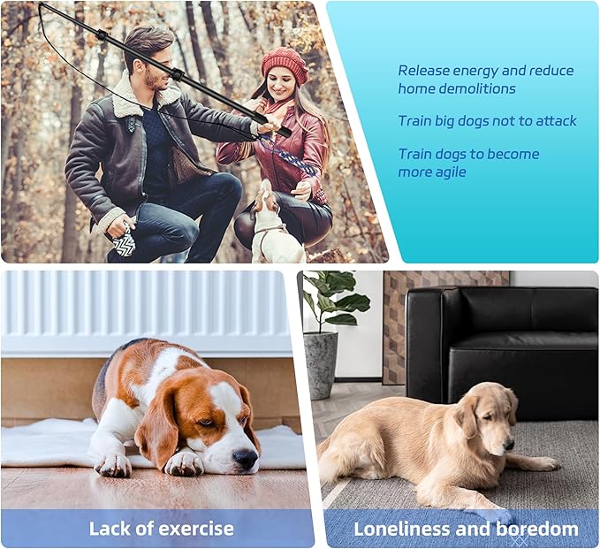 Flirt Pole for Dogs - Durable Dog Rope Toy for Small Medium Large Dogs - Interactive Dog Toys Chase and Tug of War - Lure Chewing Toy for Outdoor Exercise Training