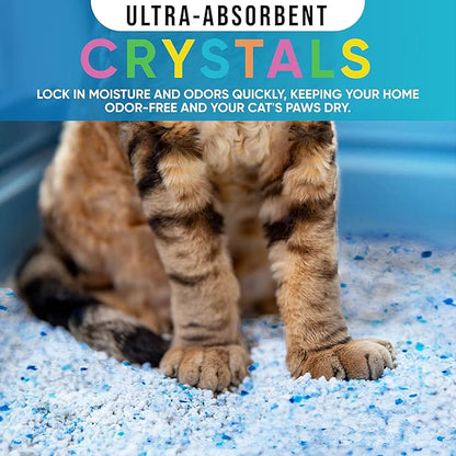 Cat Litter – Premium Lightweight, Non-Clumping, Dust-Free Crystals for Fresh Odor Control, ScoopFree & Easy to Clean, Pretty Kitty Litter for Multi-Cat Homes, Long-Lasting Performance