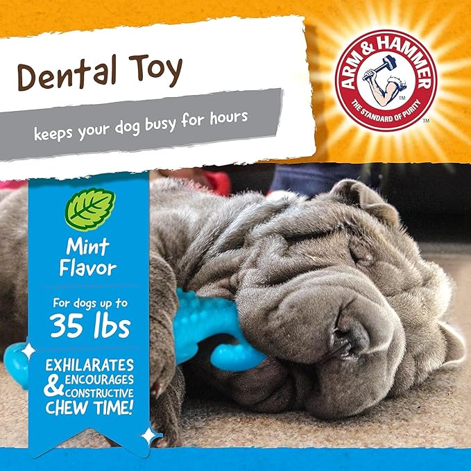 Arm & Hammer for Pets Nubbies Dental Toys, Gator - Dental Chew Toy for Dogs for Moderate Chewers - Reduces Plaque & Tartar Buildup Without Brushing - 2 Pack